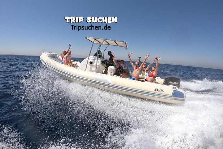 Speedboot zur Dolphin Hous mit Schnorcheln und Mittagessen