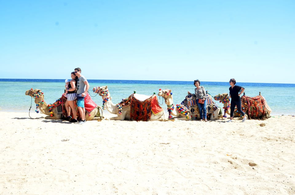 Kamelritt in Hurghada