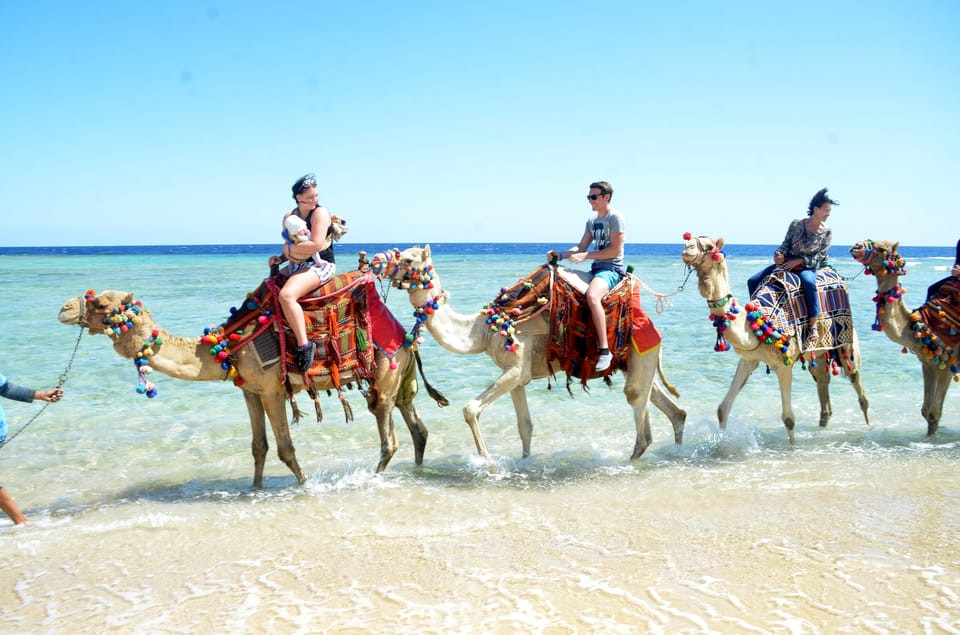 Kamelritt in Hurghada