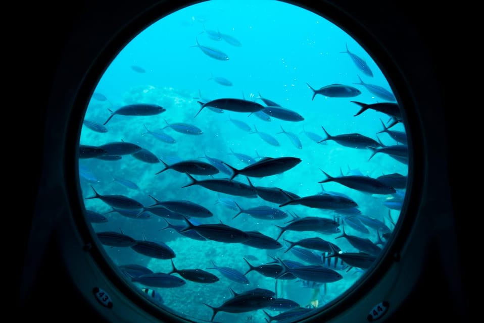 Sindbad Submarine Hurghada