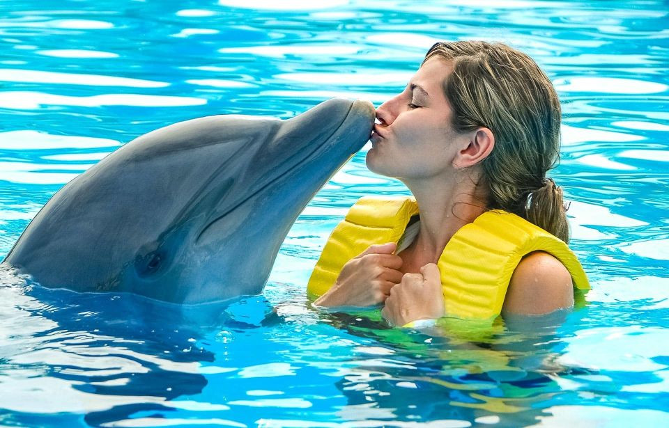 Dolphin Show Hurghada