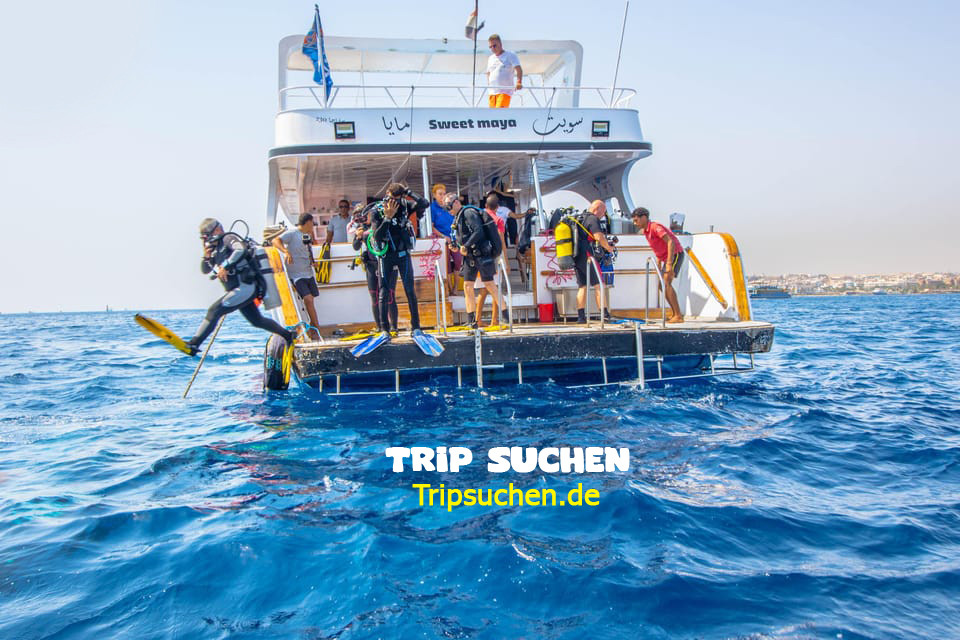 Diving in hurghada for beginners