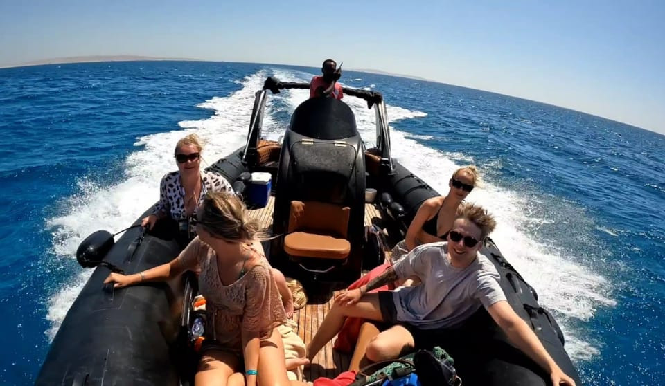Swim with dolphins in hurghada