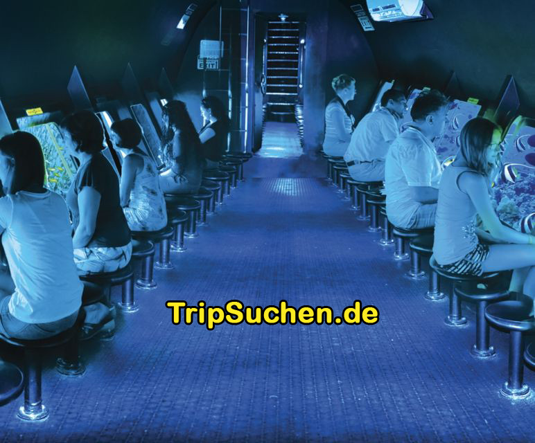 Privat Ausflug mit Glasbodenboot & Hurghada Stadtrundfahrt