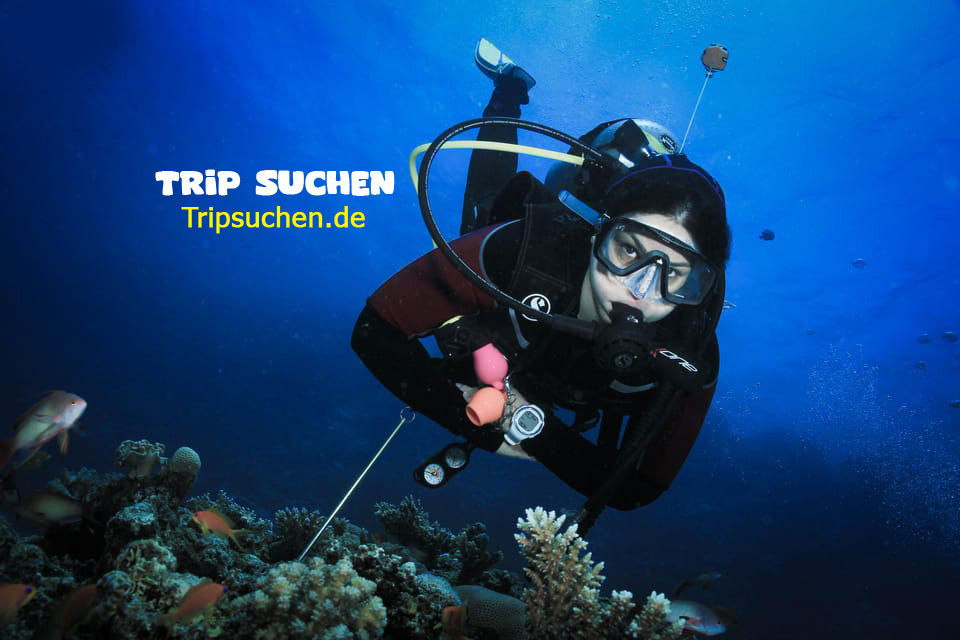 Diving in hurghada for beginners