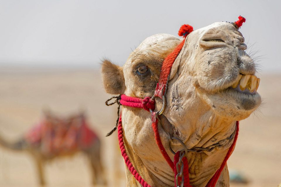 3 Hour quad biking in egypt hurghada