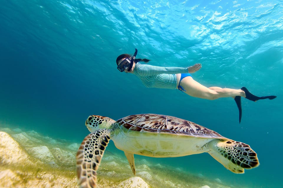 Utopia Island VIP - Snorkeling Tour & Lunch