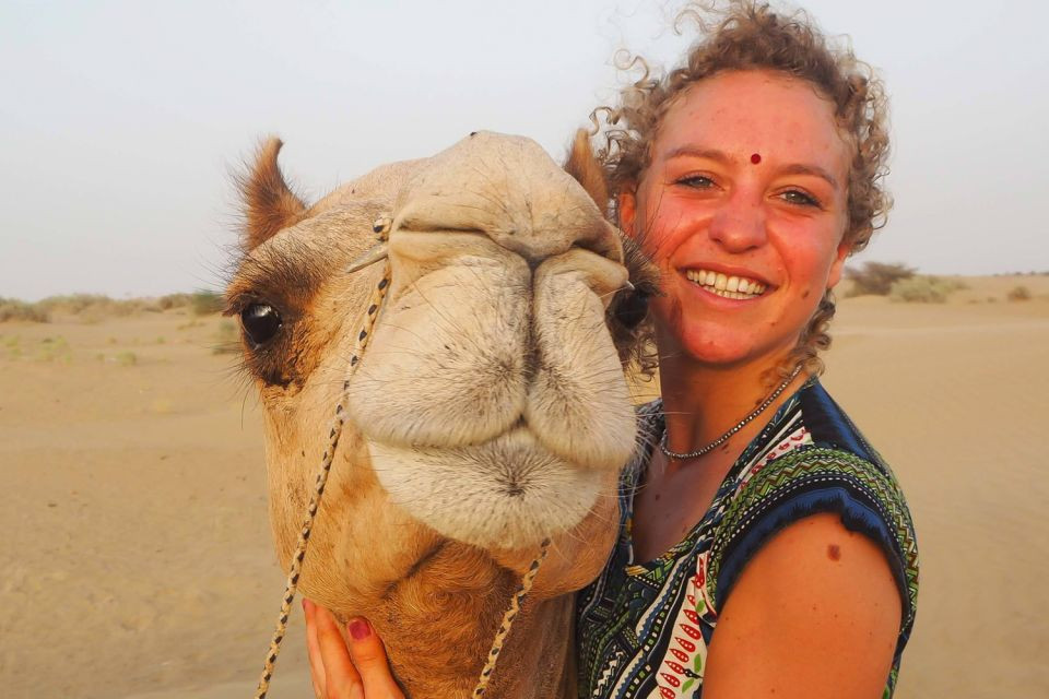 3 Hour PRIVATE Quad Tour in hurghada