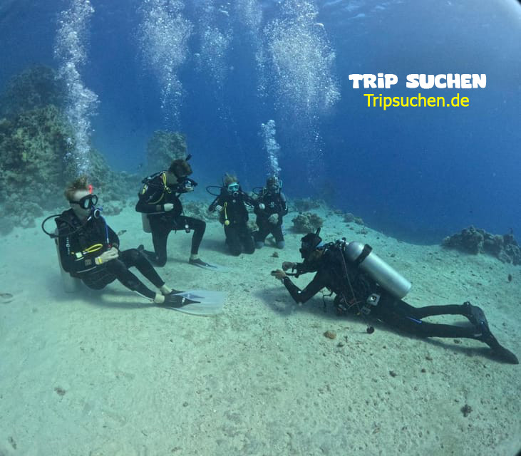 Diving in hurghada for beginners