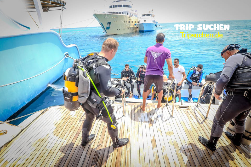 Diving in hurghada for beginners