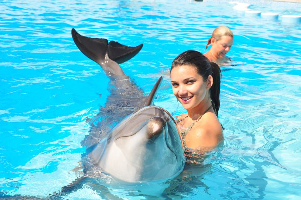 Dolphin Show Hurghada