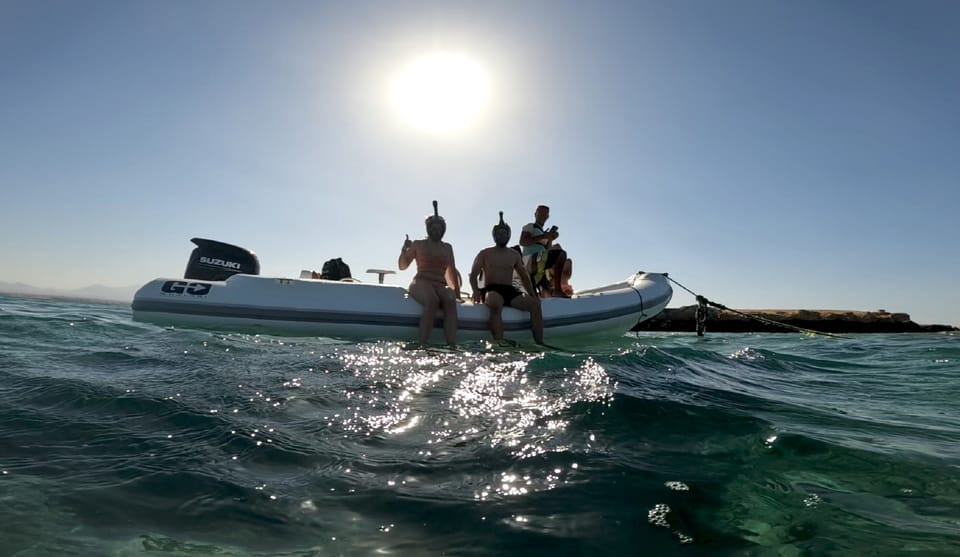 Swim with dolphins in hurghada
