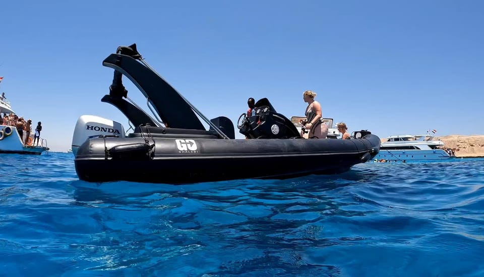 Swim with dolphins in hurghada