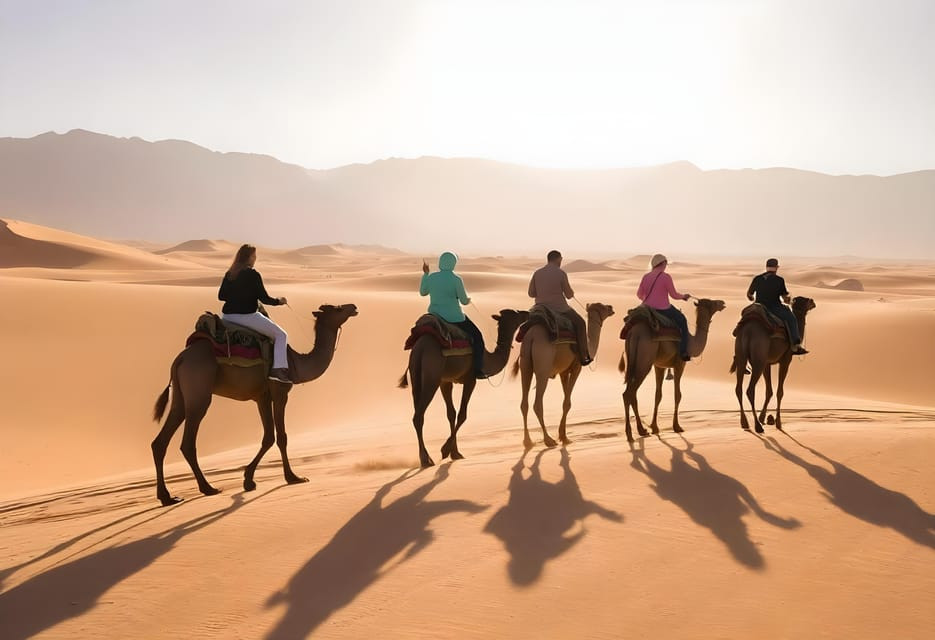 Camel Trip in Hurghada