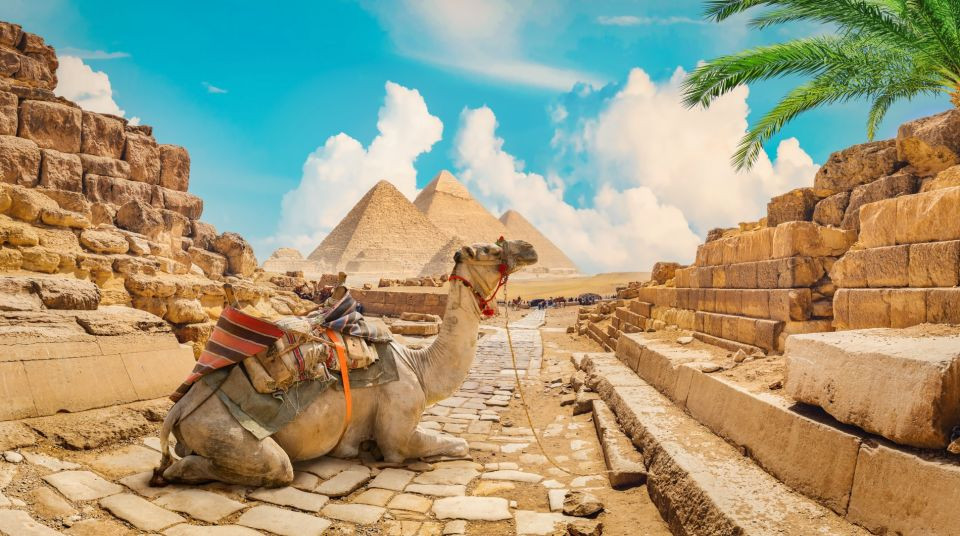 Das neue Ägyptische Museum Tagesausflug von Hurghada