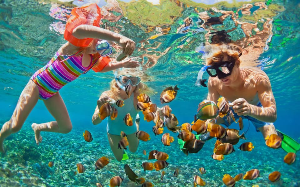 Utopia Island VIP - Snorkeling Tour & Lunch