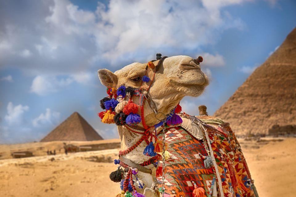 Das neue Ägyptische Museum Tagesausflug von Hurghada